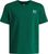 green - white (312)