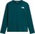pacific teal (N4J)