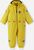 maize yellow (2410)