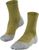 aspengreen (7702) (7702)