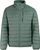 evergreen (251)