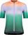 mountain pine rainbow (1262)