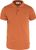 terracotta brown (243)