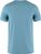 dawn blue (543)
