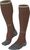 chestnut (5534)