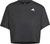 black (095A)