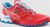 hibiscus/malibu blue (402602)