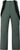 evergreen (251)