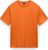 orange pumpkin a68 (A68)