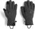 charcoal (0890)