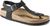black (449)