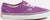 willowherb (520)