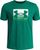 green - white (312)