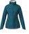 blue coral (373)
