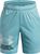 blue - white (425)