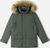 thyme green (8510)