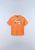 orange pumpkin a68 (A68)
