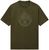 olive night g1f (G1F)