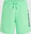 neon green (16043)