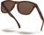 matte brown tortoise/prizm tungsten (9013C5)