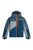 blue swirl zebra (35226)