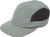 grey cactus (485)