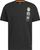 black (095A)