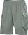 grey cactus (485)