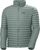 grey cactus (485)