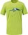green moss (6625)