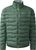 chlorophyll green (5YE)