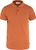 terracotta brown (243)