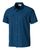 methyl blue (2300)