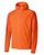 fr.nectarine/ver.orange (0577)