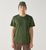 seaweed green (4Q9)