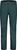 mountain pine (1226)