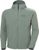 grey cactus (485)