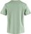 misty green (674)