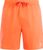 burnt peach (917)