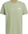 tent green (A98F)