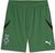 archive green-puma black (04)