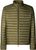 dusty olive (50012)