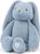 beach blue (2598)