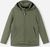 greyish green (8920)