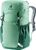 spearmint-seagreen (2293)