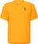 gleam orange (8236)