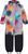 wild aster (6261)