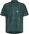 mountain pine check (1249)