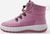 blush rose (4390)