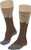 chestnut (5534)